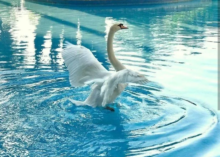 מלון Dobedan World Palace 