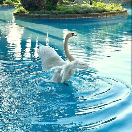 فندق Dobedan World Palace 